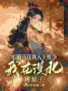 驸马送我入王账，我在漠北睡狼王