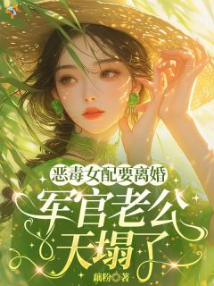 恶毒女配要离婚，军官老公天塌了