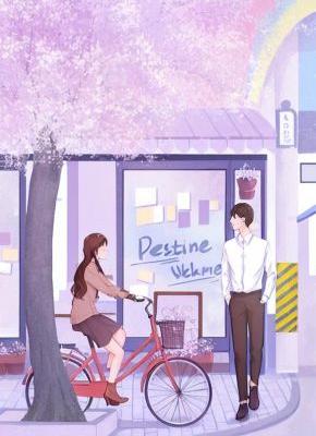 霸总和他小娇妻吵架，我靠捡垃圾成了包租婆