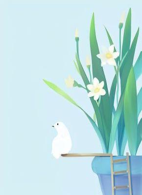 师姐胸中有沟壑，藏着星海千万里