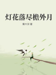 灯花落尽檐外月