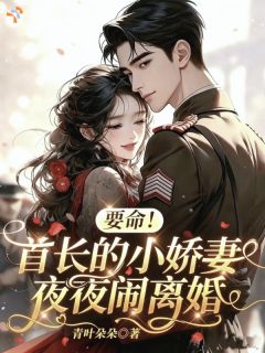 要命!首长的小娇妻夜夜闹离婚
