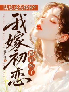 陆总还没释怀?我嫁初恋都显怀了