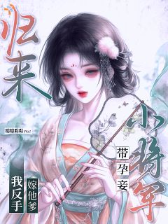 小将军带孕妾归来？我反手嫁他爹