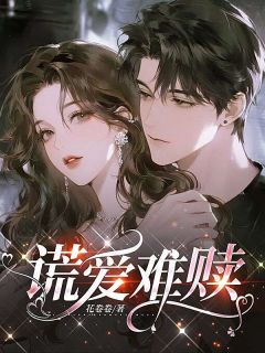 谎爱难赎