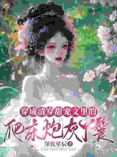 穿成四爷的丫鬟,可福晋她是重生的!