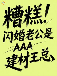 糟糕!闪婚老公是AAA建材王总