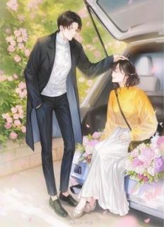 醉骂女总裁，她竟要我负责