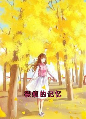 裂痕的记忆
