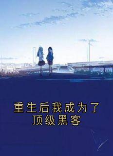 重生后我成为了顶级黑客