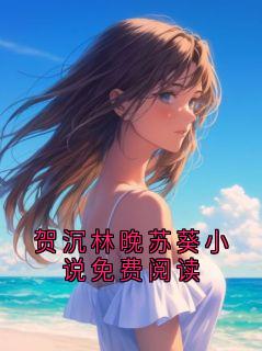 贺沉林晚苏葵小说免费阅读