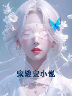 宋淮安小说