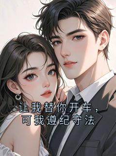 让我替你开车,可我遵纪守法