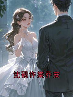 沈砚许棠乔安