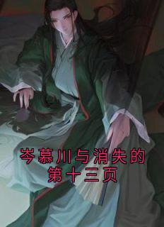 岑慕川与消失的第十三页