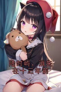 陆时屿,消失在十三年前