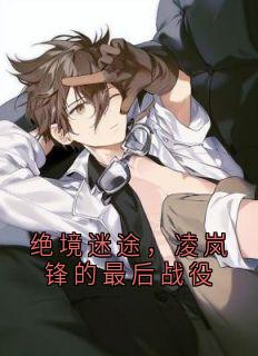 绝境迷途，凌岚锋的最后战役